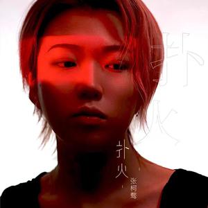 未亡人夫遗像前被欺负的背景故事
